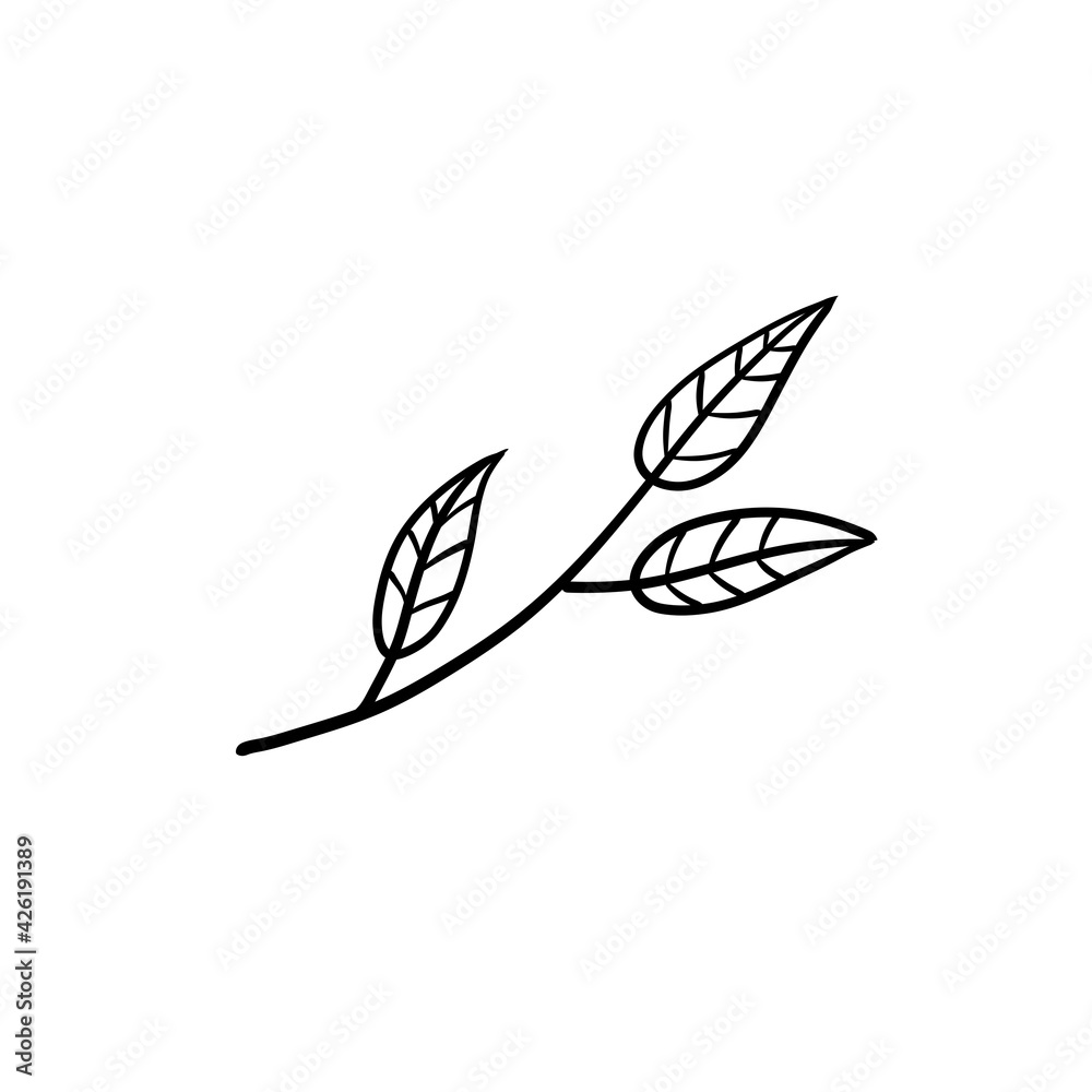 Branch of plant. Leaves in line style. Black and white natural illustration. Minimalism and simple flora. Branch of plant. Leaves in line style. Black and white natural illustration. Minimalism and simple flora.