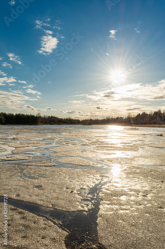 Cracked ice melts under the sun on a forest lake. Spring landscape with forest pond during sun down