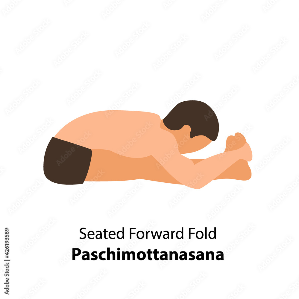 Man practicing yoga pose isolated Vector Illustration. Man standing in seated forward fold or paschimottanasana pose, Yoga Asana icon Man practicing yoga pose isolated Vector Illustration. Man standing in seated forward fold or paschimottanasana pose, Yoga Asana icon