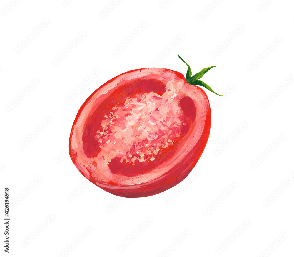Red tomato clip art isolated on white background. Gouache hand drawn half tomato illustration. Red tomato clip art isolated on white background. Gouache hand drawn half tomato illustration.