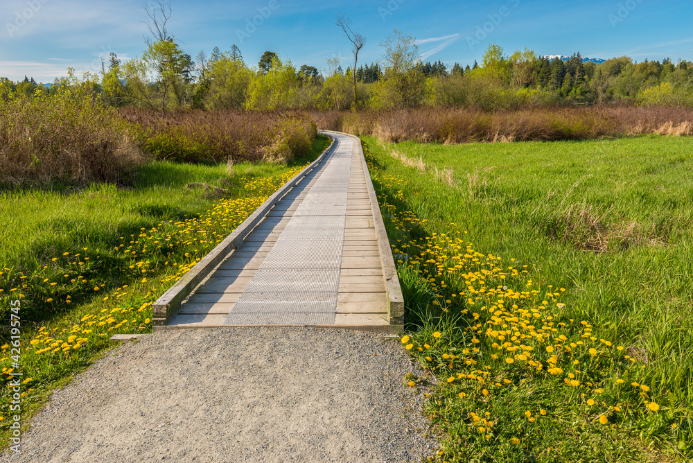 Trail in Deer Lake Park, Vancouver, Canada.