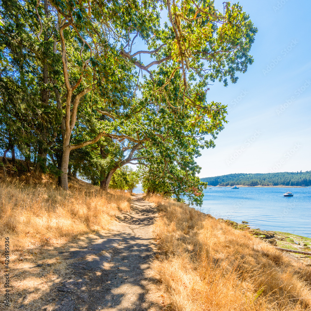 Fragment of lake view trail in Drumbeg park, Nanaimo, British Columbia, Canada.