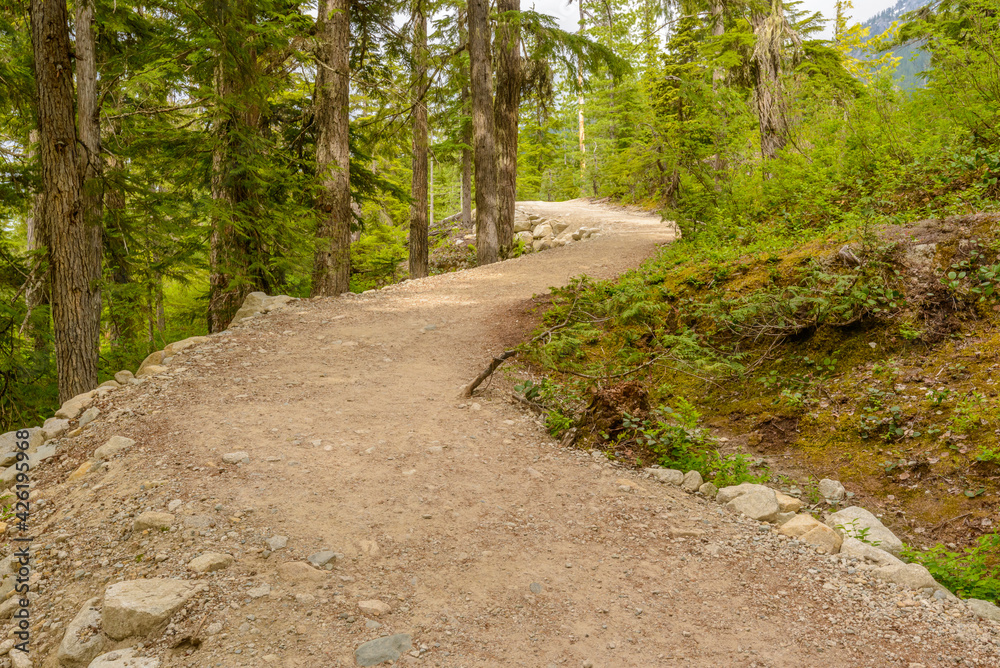 Fototapeta premium Fragment of Panorama Trail in Sea to Sky Gondola Park in Vancouver, Canada.