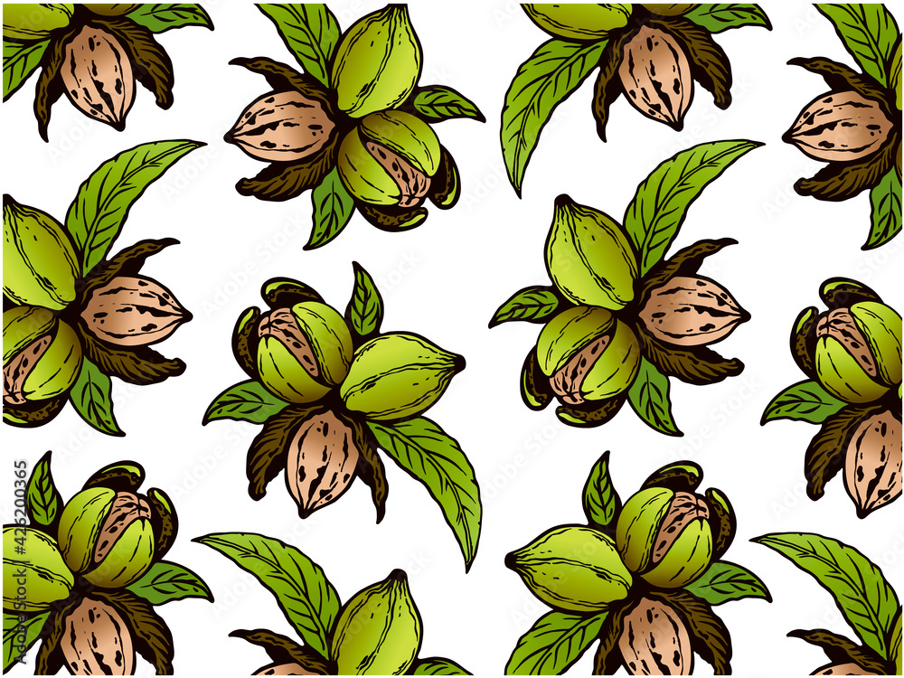 Drawing pattern of brown pecan nuts in shell with green leaves isolated on white background. Organic sketch snacks, healthy food, outline walnut, pecan tree, botanical wallpaper. Vector illustration