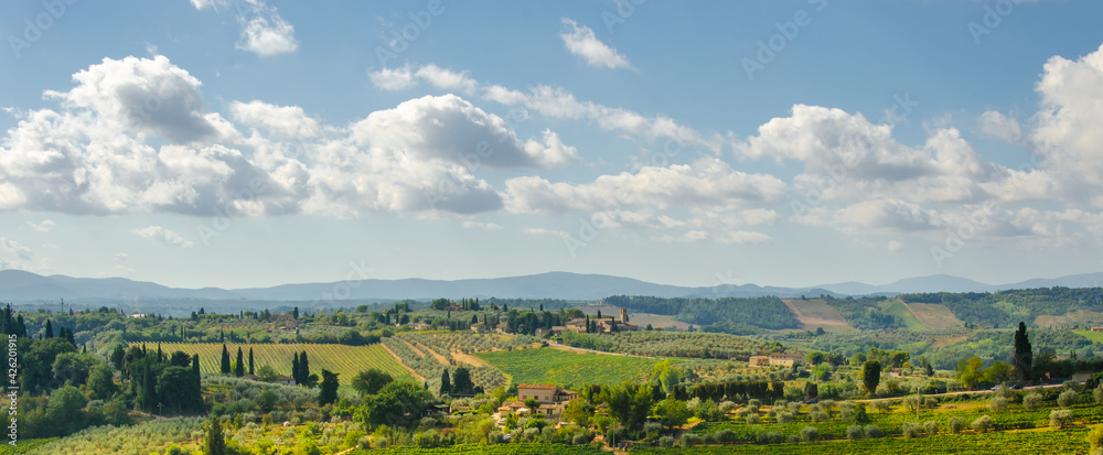 Beautiful fields in Tuscany. Italy. Wine region