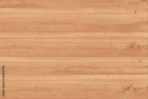 maple tree timber background texture structure surface