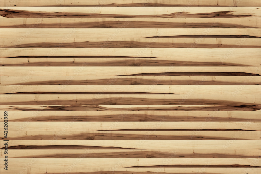 maple wood tree timber background texture structure surface maple wood tree timber background texture structure surface