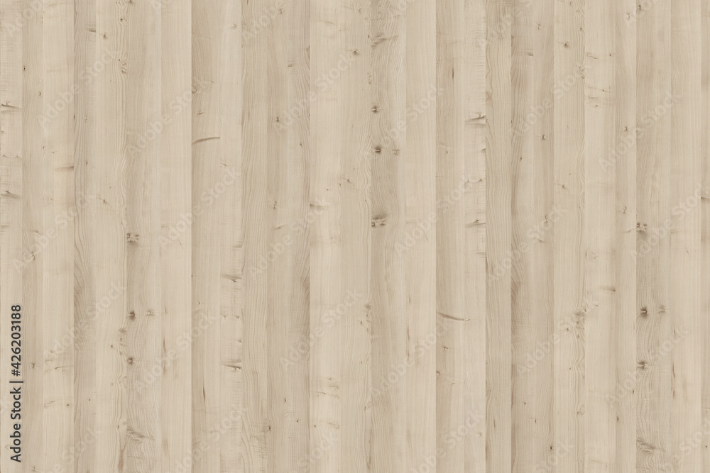 Fototapeta premium maple wood tree timber background texture structure surface