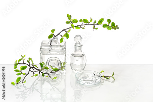 Natural Green laboratory. Abstract floral arrangement with transparent glass vase and vial with liquid product. Reflections of leaves distorted in water. Spring green twigs with green twigs in jars.