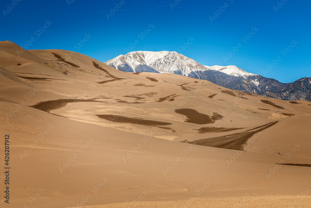 Panorama of the Great Sand Dunes National Park, Colorado