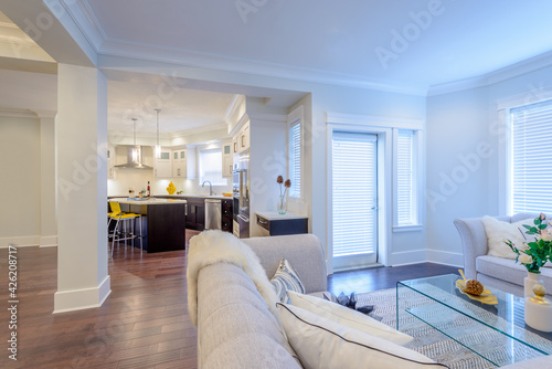 Interior design of a luxury living room © karamysh
