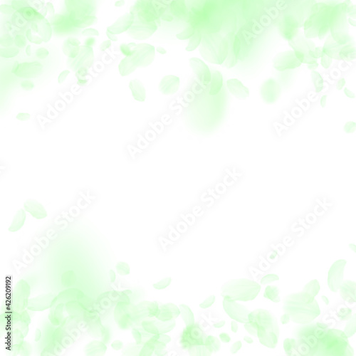 Green flower petals falling down. Favorable romant