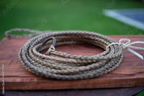 Obraz na płótnie rope on a grass