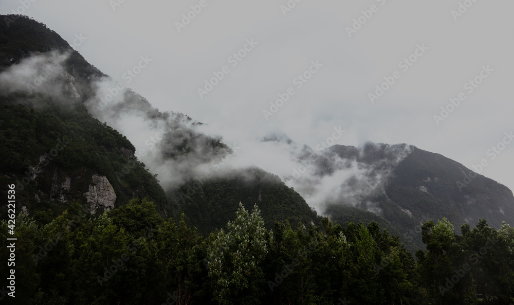 Panorama landscape of fog on rainforest mountain. Chilean Patagonia