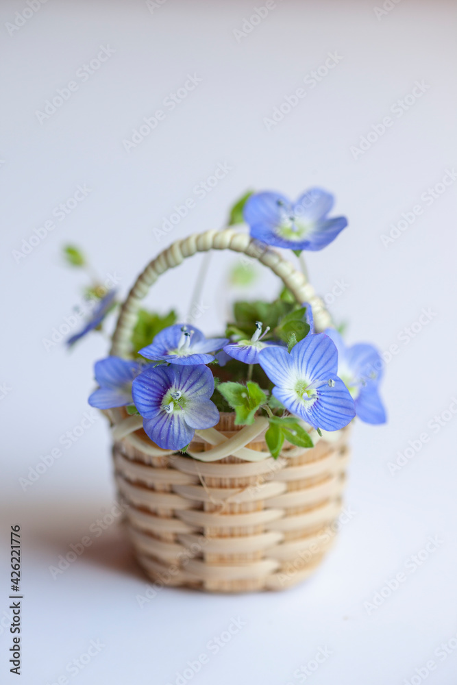 Obraz premium Spring blue flowers in tiny basket