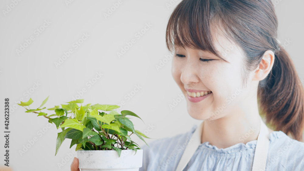 室内で観葉植物の手入れをしている女性 室内で観葉植物の手入れをしている女性