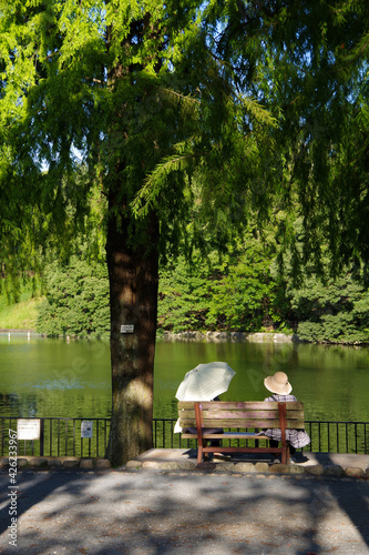 公園のベンチでくつろぐ人　自然豊かな公園