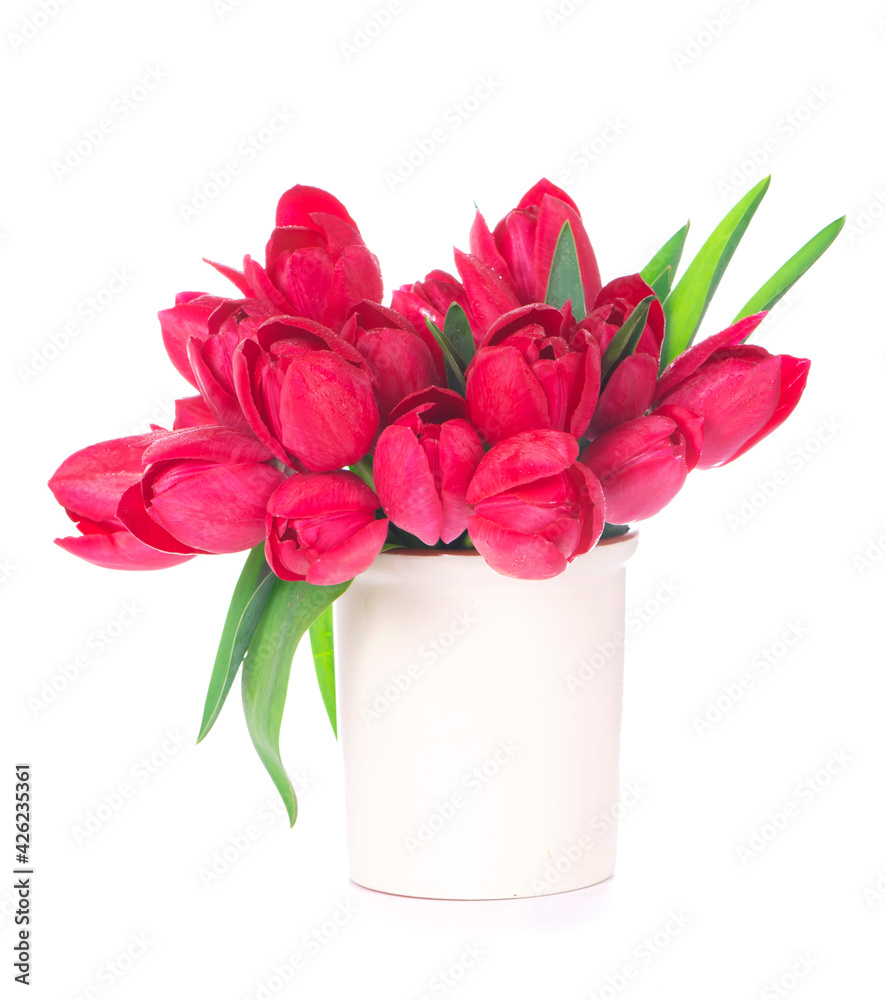 Bouquet of pink tulips on a light background