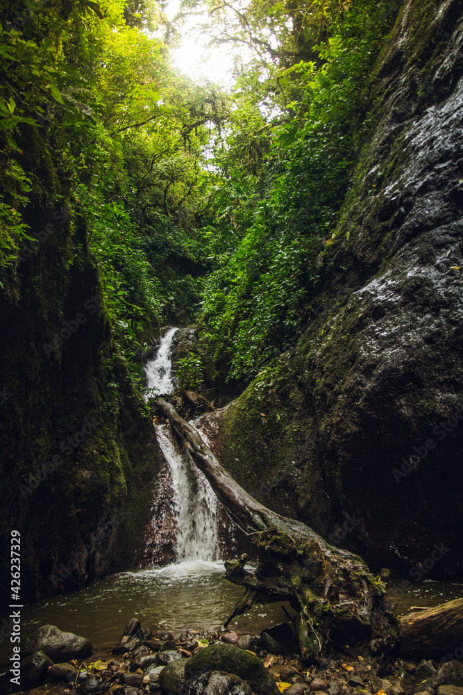 waterfall in the forest waterfall in the forest