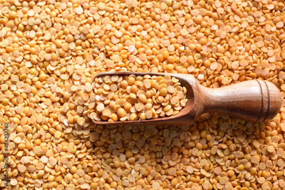 Yellow color raw dried split Pigeon pea lentils Yellow color raw dried split Pigeon pea lentils