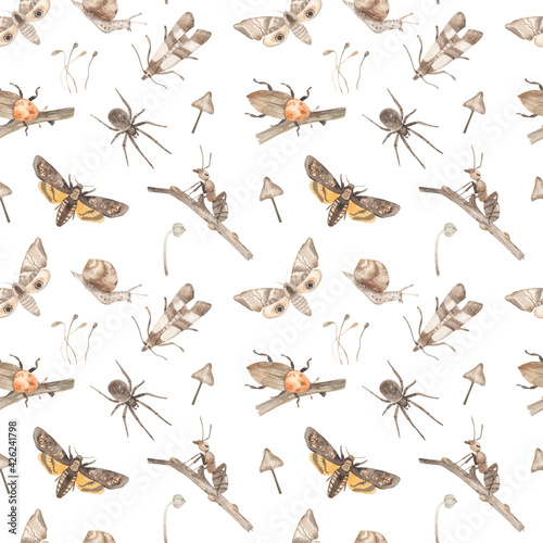 Watercolor seamless pattern with moths, ant, beetle, spider, snail, mushroom, branches on a white background © MarinaErmakova