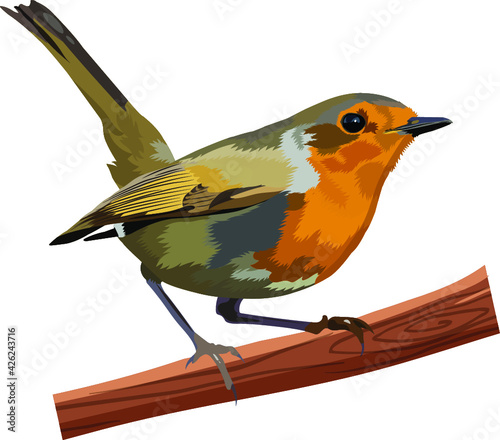 Single bird flying or holding branch