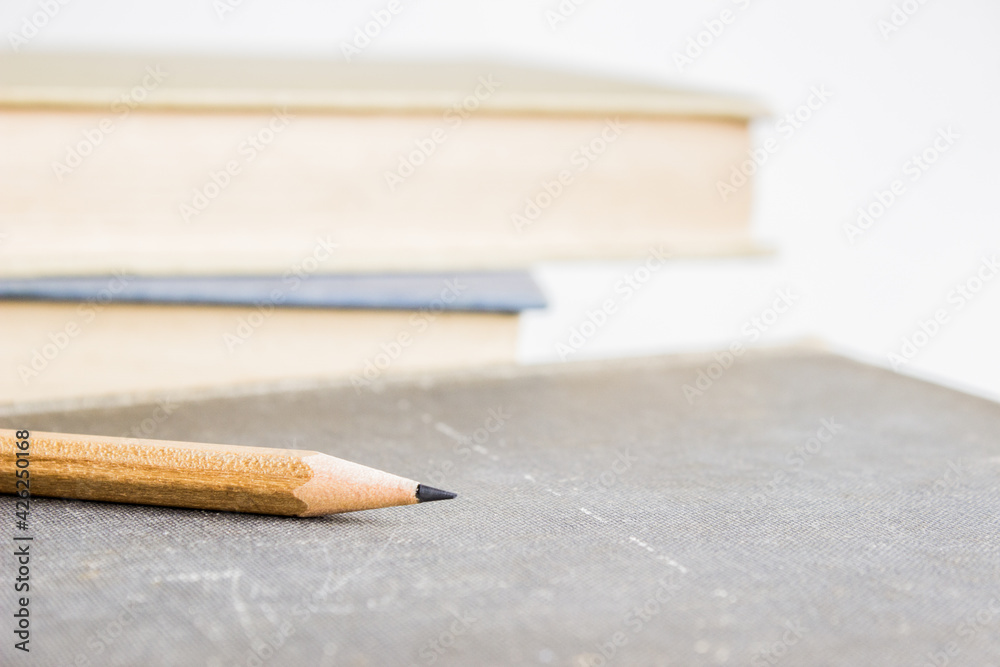 Obraz premium Wooden pencil with books on a table