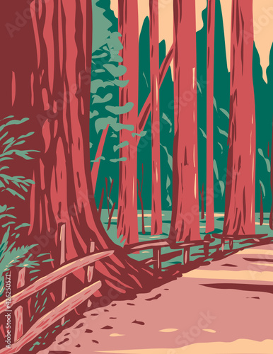 WPA Poster Art of redwoods in the Avenue of the Giants surrounded by the Humboldt Redwoods State Park located in Arcata California done in works project administration style.