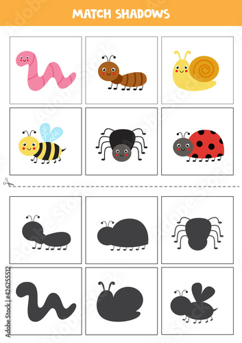 Find shadows of cute insects. Cards for kids.