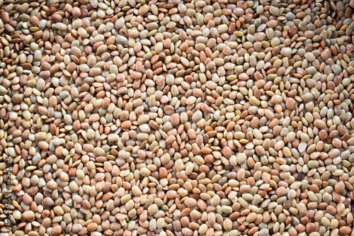 Fotografia Raw whole dried Horse gram