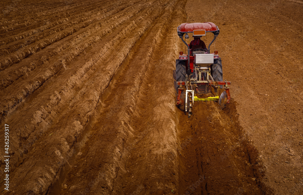 Obraz premium Farmer use tractor to plow raise soil embankment, lift trench drainage before planting sugarcane,preparing land with seedbed cultivator pre seeding activities agricultural works at farmlands.