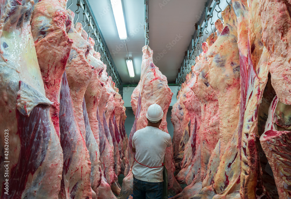 Foto Slaughterhouse workers in the refrigerator