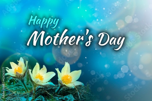 Happy mother s day - text on celebratory background with flowers. Beautiful present concept.