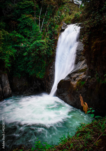 waterfall in the forest