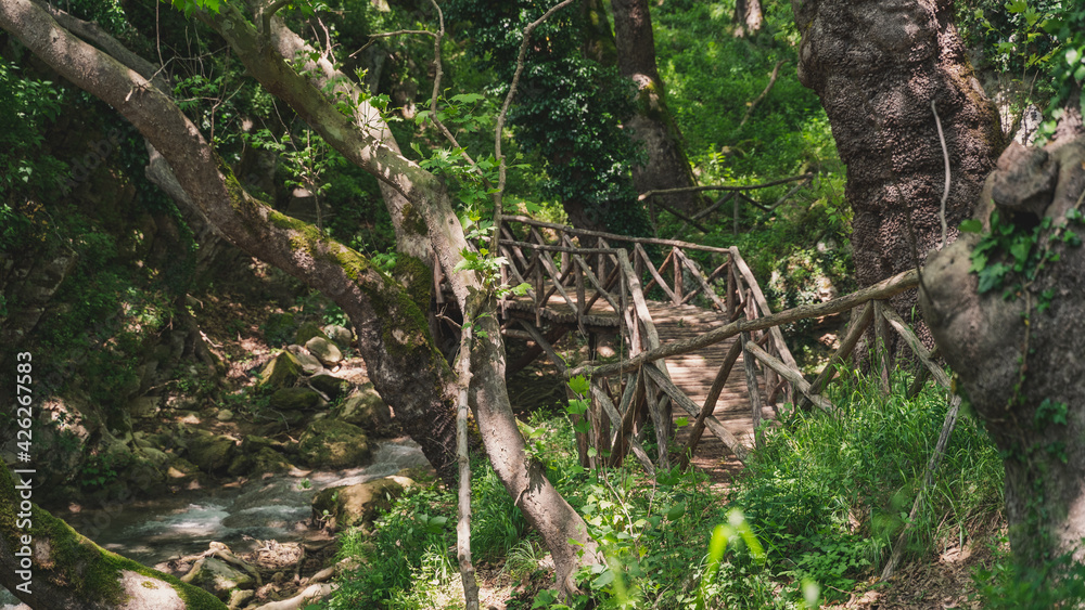 Fototapeta premium wooden bridge at trail path at Palia Kavala of Greece
