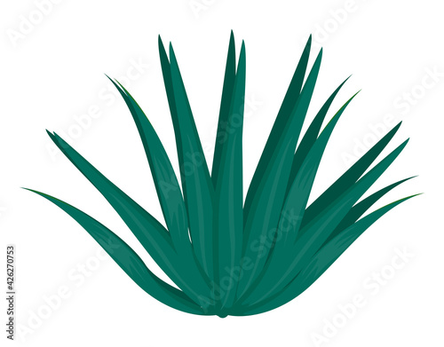 tropical plant icon