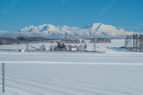 冬の美瑛町 青空と大雪山の風景
