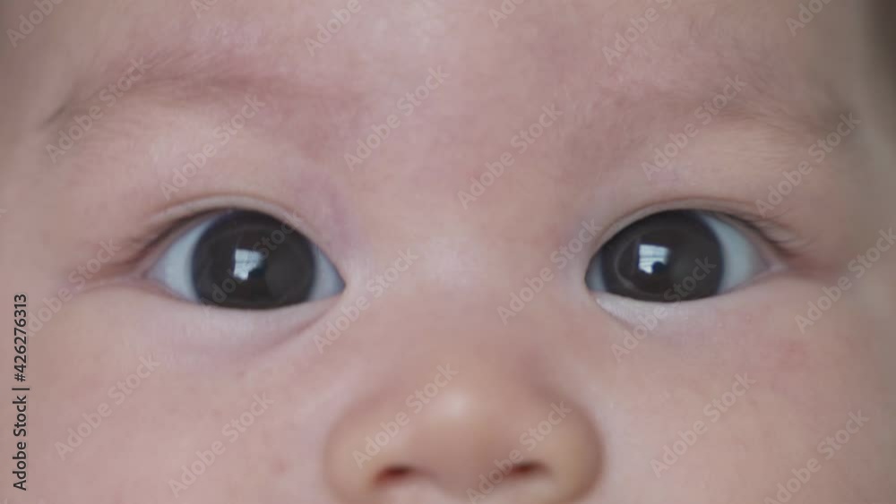 close up asian baby infant eyes looking at camera and blinking. innocence kid stare parent with love. close up asian baby infant eyes looking at camera and blinking. innocence kid stare parent with love.