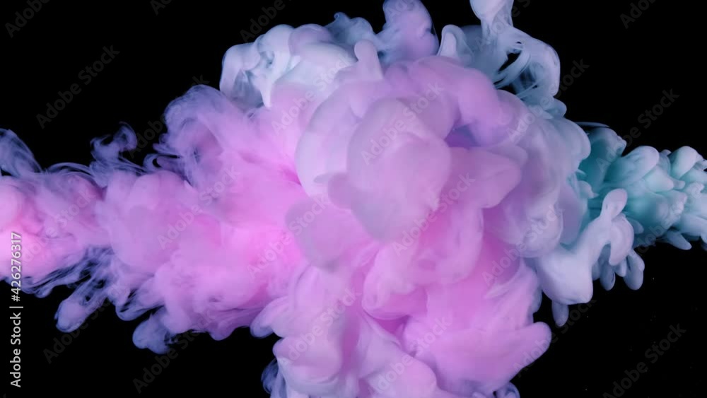 Turquoise pink paint acrylic moving in water on black background