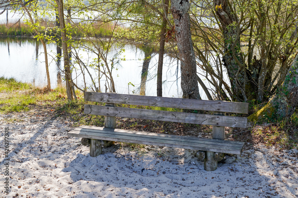 bench wooden near hostens lake in gironde france