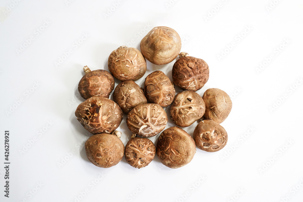 Fresh shiitake mushroom isolated,Dried mushrooms on white background Fresh shiitake mushroom isolated,Dried mushrooms on white background