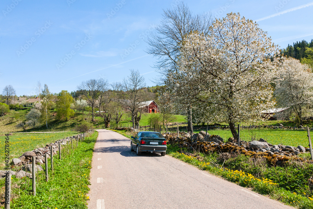 Car driving on a country road in a rural landscape at spring