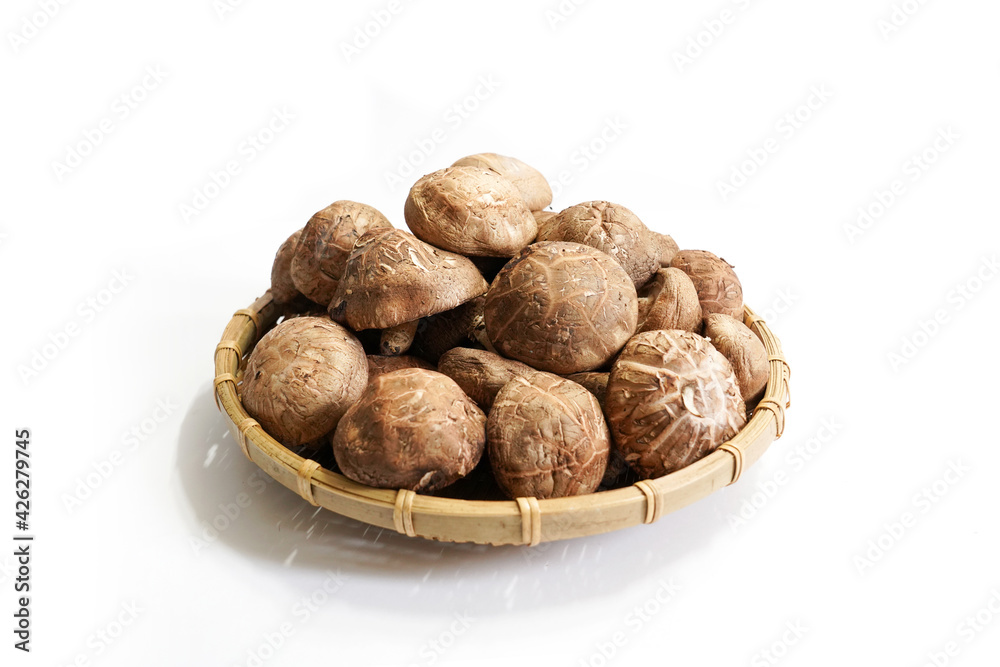 Fresh shiitake mushroom isolated,Dried mushrooms on white background Fresh shiitake mushroom isolated,Dried mushrooms on white background