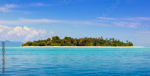 Tropical island with coconut palm. Beach fun. © famveldman
