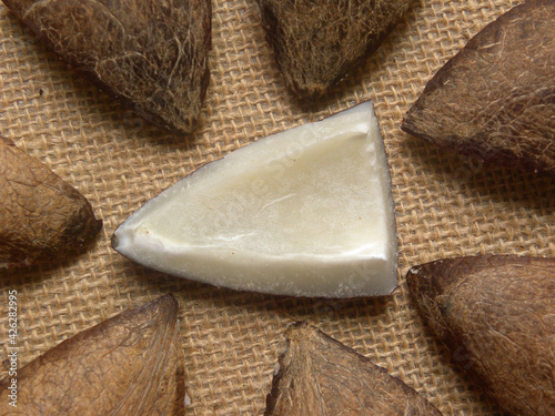 Cut raw dried coconut photo
