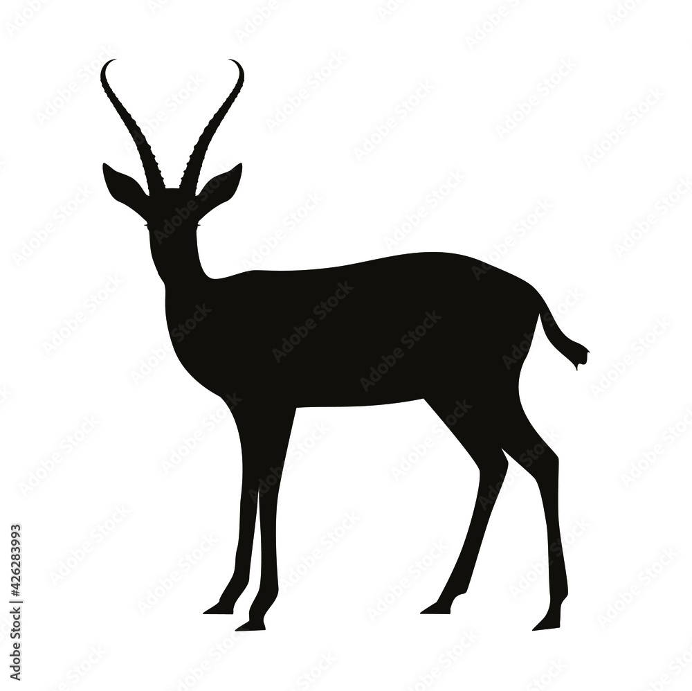 Black silhouette of an antelope on a white background. Gazelle. Animals