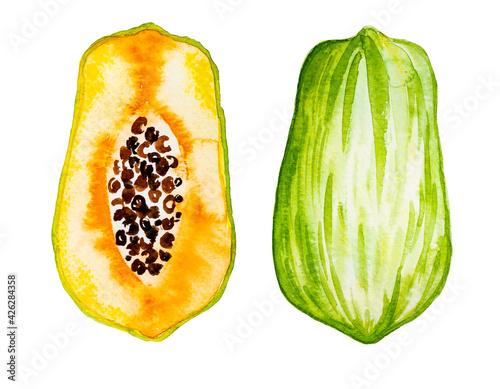 Papaya illustration. Watercolor papaw. Watercolor illustration isolated on white background. Watercolor fruit. Exotic, tropical.