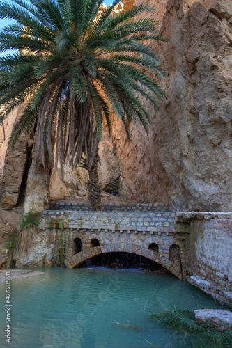oasis in the Atlas mountains, stone bridge, palm tree, water