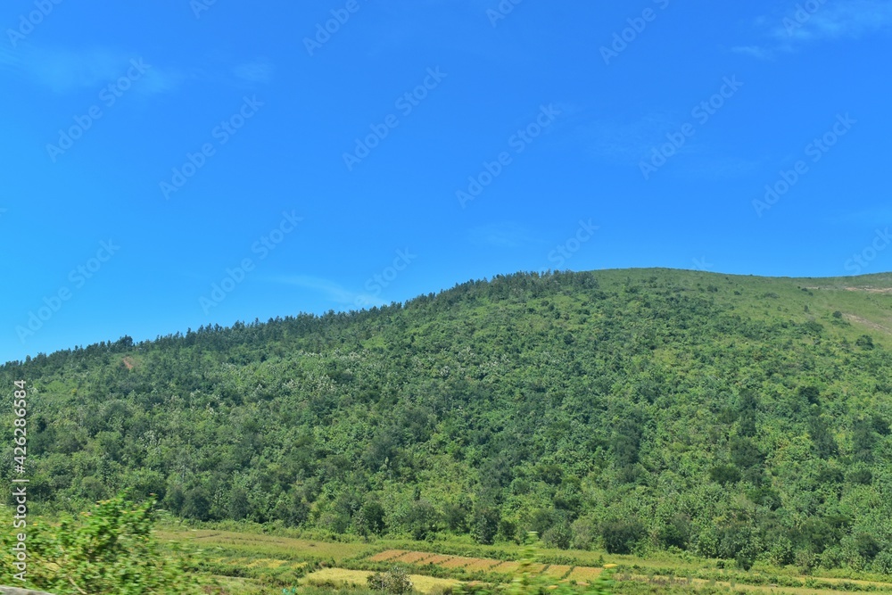 Background Forest Spreading Mountain Farming fields Background Image