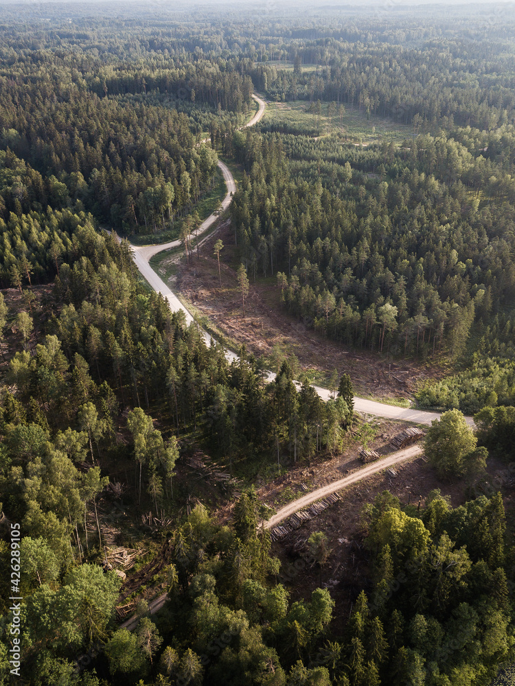 Winding roads and crossroads in the forest. Captured from above.